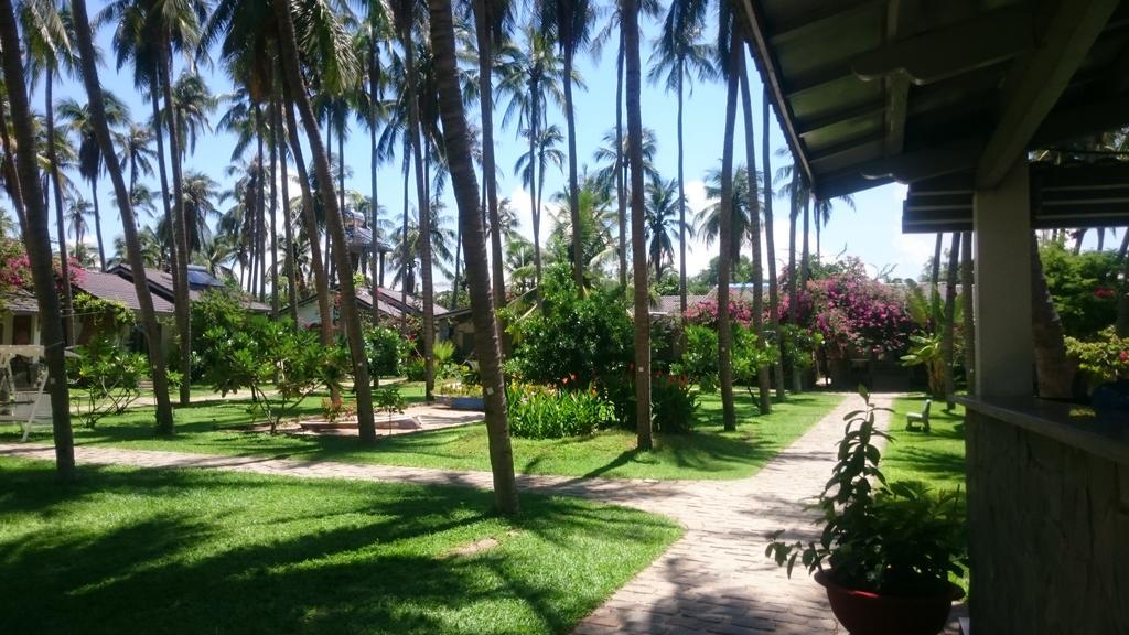 Catsen Bungalows&Rooms Mũi Né Exterior foto